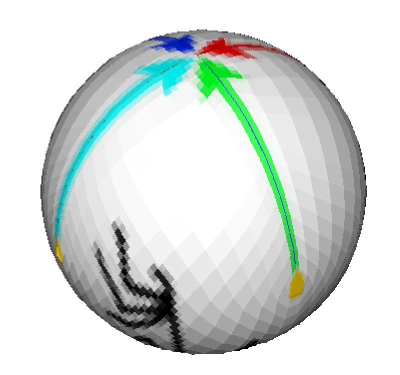 Cell wrapped to form a torus